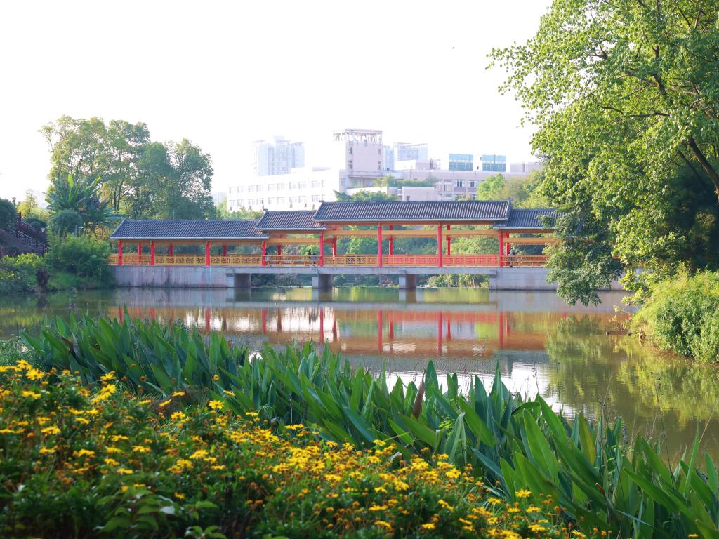 翠湖一