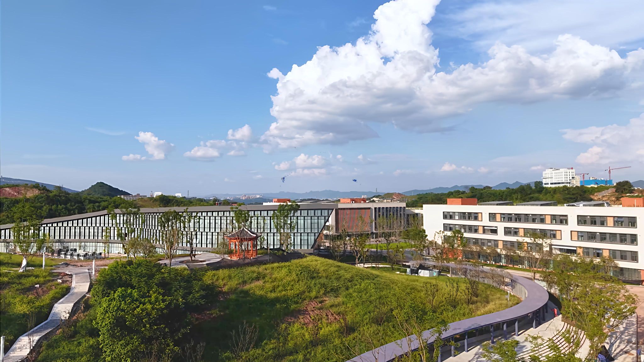 茶园校区-校内山坡